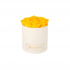 MEDIUM CLASSIC CREAM BOX WITH SUNNY YELLOW ROSES