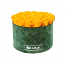 EXTRA LARGE BLUMMIN GREEN VELVET BOX WITH YELLOW ROSES