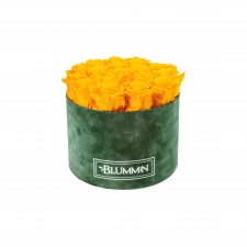 LARGE BLUMMIN GREEN VELVET BOX WITH YELLOW ROSES