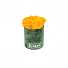 MIDI BLUMMIN GREEN VELVET BOX WITH YELLOW ROSES