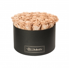 EXTRA LARGE BLACK BOX WITH CAPPUCCINO ROSES