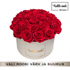 -20% KALLILE EMALE BUKETT- LARGE KREEMIKASVALGE KARP (VALI ROOSI VÄRV)
