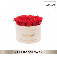 -20% KALLILE EMALE - LARGE KREEMIKASVALGE KARP (VALI ROOSI VÄRV)