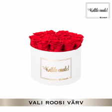-20% KALLILE EMALE - LARGE VALGE KARP (VALI ROOSI VÄRV)