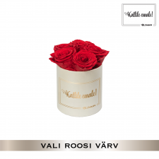 -20% KALLILE EMALE - MIDI KREEMIKASVALGE KARP (VALI ROOSI VÄRV)