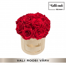 -20% KALLILE EMALE BUKETT- SMALL NUDE SAMETKARP (VALI ROOSI VÄRV)