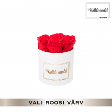 -20% KALLILE EMALE - SMALL VALGE KARP (VALI ROOSI VÄRV)