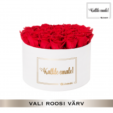 -20% KALLILE EMALE - EXTRA LARGE VALGE KARP (VALI ROOSI VÄRV)