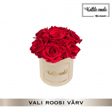 -20% KALLILE EMALE BUKETT- MIDI NUDE SAMETKARP (VALI ROOSI VÄRV)