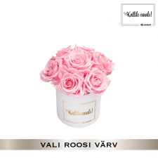 -20% KALLILE EMALE BUKETT- MIDI VALGE KARP (VALI ROOSI VÄRV)