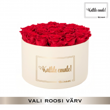 -20% KALLILE EMALE - EXTRA LARGE KREEMIKASVALGE KARP (VALI ROOSI VÄRV)
