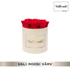 -20% KALLILE EMALE - MEDIUM KREEMIKASVALGE KARP (VALI ROOSI VÄRV)