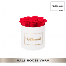 -20% KALLILE EMALE - MEDIUM VALGE KARP (VALI ROOSI VÄRV)