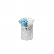 BABY BOY XS VALGE KARP MIX (BABY BLUE, MINT, WHITE) KAUASÄILIVATE ROOSIDEGA