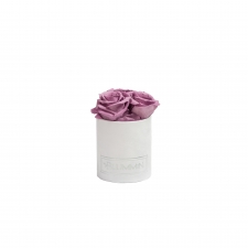 XS BLUMMiN - valge sametkarp LILAC roosidega