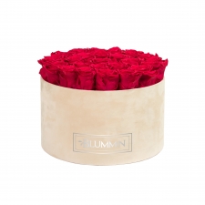 EXTRA LARGE NUDE VELVET BOX WITH ROSEBERRY ROSES