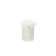 XS BLUMMiN - valge ussinahkse mustriga karp WHITE roosidega