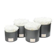 DARK GREY CERAMIC POT WITH WHITE ROSES