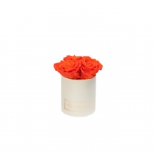 XS BLUMMIN - CREAMY BOX WITH ORANGE ROSES