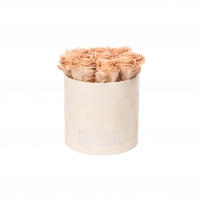-20% MEDIUM NUDE VELVET BOX WITH CAPPUCCINO ROSES