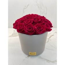 BOUQUET WITH 23 ROSES - BEIGE CERAMIC POT WITH CHERRY ROSES