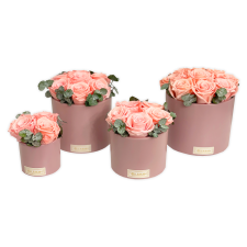 PINK CERAMIC POT WITH CANDY PINK ROSES AND WITH EUCALYPTUS