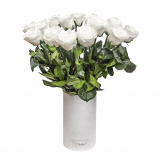 VARREGA ROOSID - WHITE