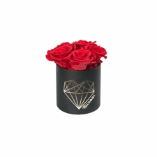 MIDI LOVE - BLACK BOX WITH VIBRANT RED ROSES