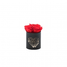 XS LOVE - BLACK BOX WITH VIBRANT RED ROSES