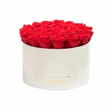 XL BLUMMiN - WHITE LEATHER BOX WITH VIBRANT RED ROSES