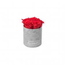 MIDI LIGHT GREY VELVET BOX WITH VIBRANT RED ROSES