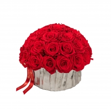 SILVER CERAMIC POT WITH 29-33 VIBRANT RED ROSES