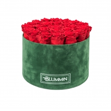 XL BLUMMiN - GREEN VELVET BOX WITH VIBRANT RED ROSES