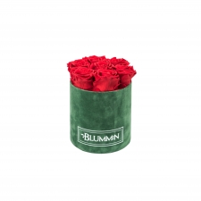 SMALL BLUMMiN - GREEN VELVET BOX WITH VIBRANT RED ROSES