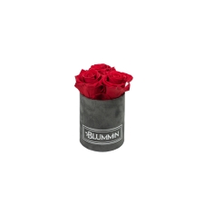 XS BLUMMiN - DARK GREY VELVET BOX WITH VIBRANT RED ROSES
