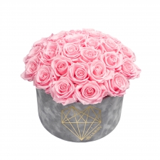 BOUQUET WITH 25 ROSES - LARGE LOVE LIGHT GREY VELVET BOX WITH BRIDAL PINK ROSES