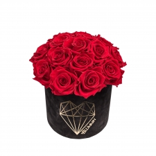 BOUQUET WITH 15 ROSES - MEDIUM LOVE BLACK VELVET BOX WITH VIBRANT RED ROSES