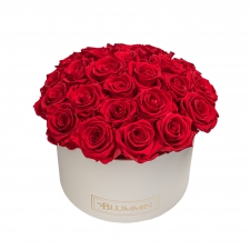  BOUQUET WITH 25 ROSES - LARGE CREAMY BOX WITH VIBTANT RED ROSES