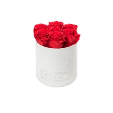 SMALL BLUMMIN - WHITE VELVET BOX WITH VIBRANT RED ROSES