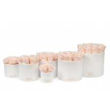 WHITE CERAMIC POT WITH  ICE PINK ROSES