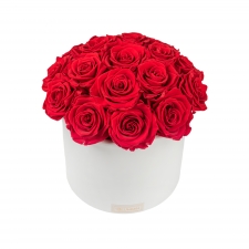 BOUQUET WITH 17 ROSES - WHITE CERAMIC POT WITH VIBRANT RED ROSES