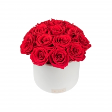 BOUQUET WITH 15 ROSES - WHITE CERAMIC POT WITH VIBRANT RED ROSES