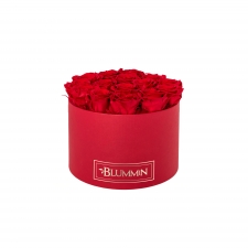 LARGE CLASSIC RED BOX WITH VIBRANT RED ROSES