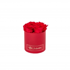 SMALL BLUMMiN - punane karp VIBRANT RED roosidega