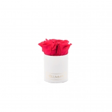 XS BLUMMiN VALGE KARP VIBRANT RED ROOSIDEGA