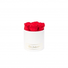 SMALL CLASSIC WHITE BOX WITH VIBRANT RED ROSES