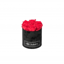 SMALL BLUMMiN - BLACK VELVET BOX WITH VIBRANT RED ROSES