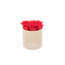 SMALL VELVET NUDE BOX WITH VIBRANT RED ROSES