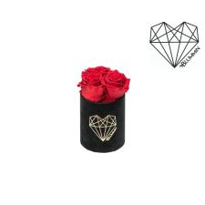 XS LOVE - BLACK VELVET BOX WITH VIBRANT RED ROSES
