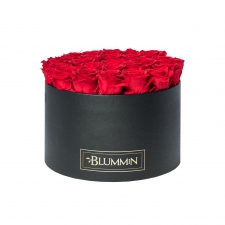 EXTRA LARGE BLUMMIN - BLACK BOX WITH VIBRANT RED ROSES